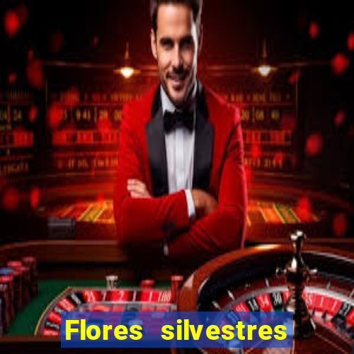 Flores silvestres brasileiras brasileiras flores silvestres nomes e imagens